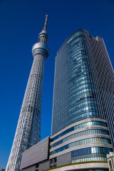 スカイツリー