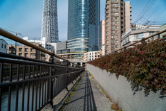 お散歩