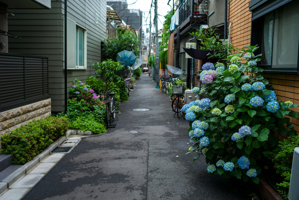 根津にて