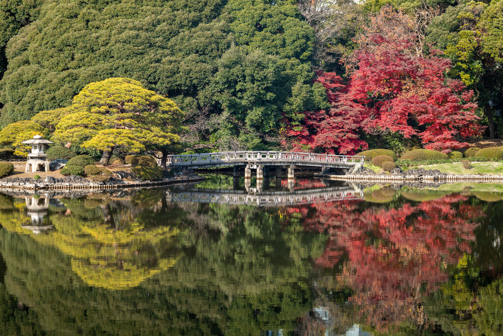 晩秋