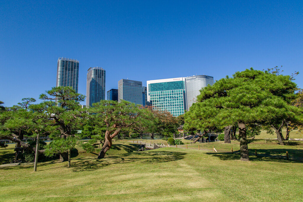 浜離宮恩賜庭園