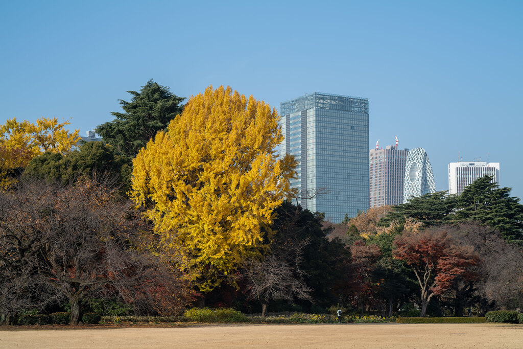 晩秋