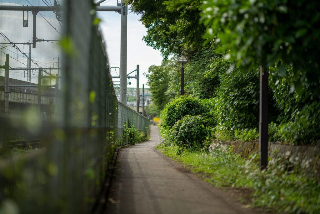 飛鳥山公園にて