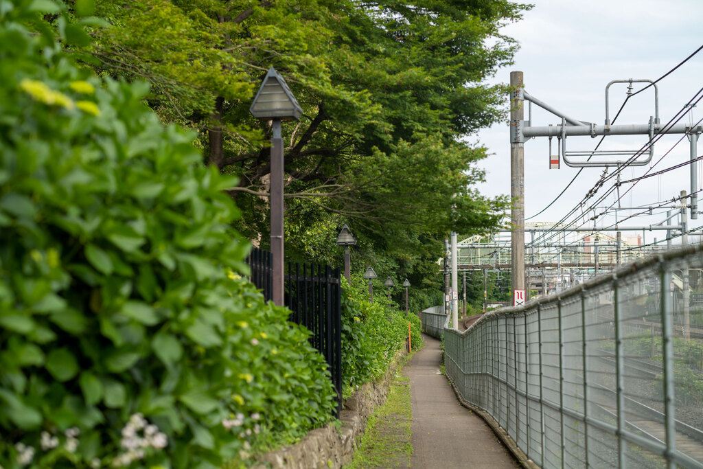 飛鳥山公園にて