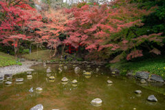 小石川後楽園