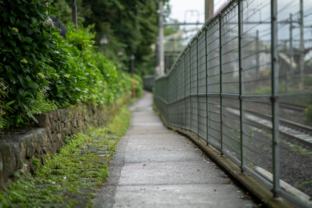 飛鳥山公園にて