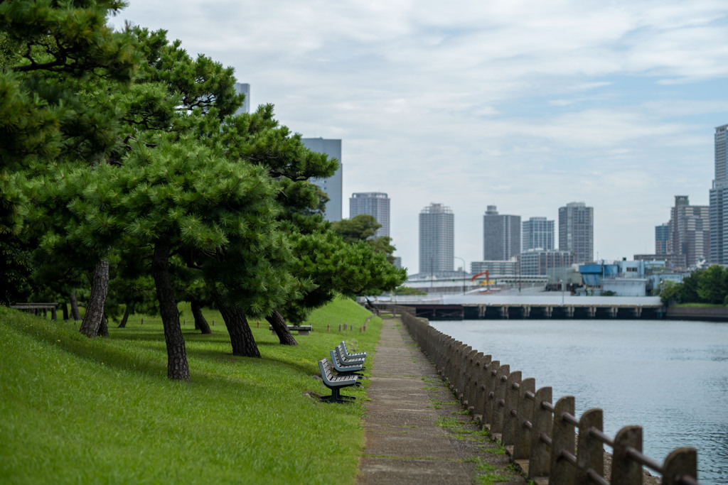 お散歩
