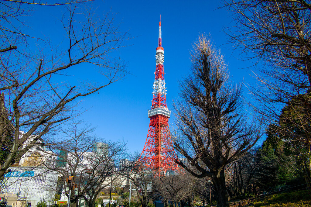 東京タワー