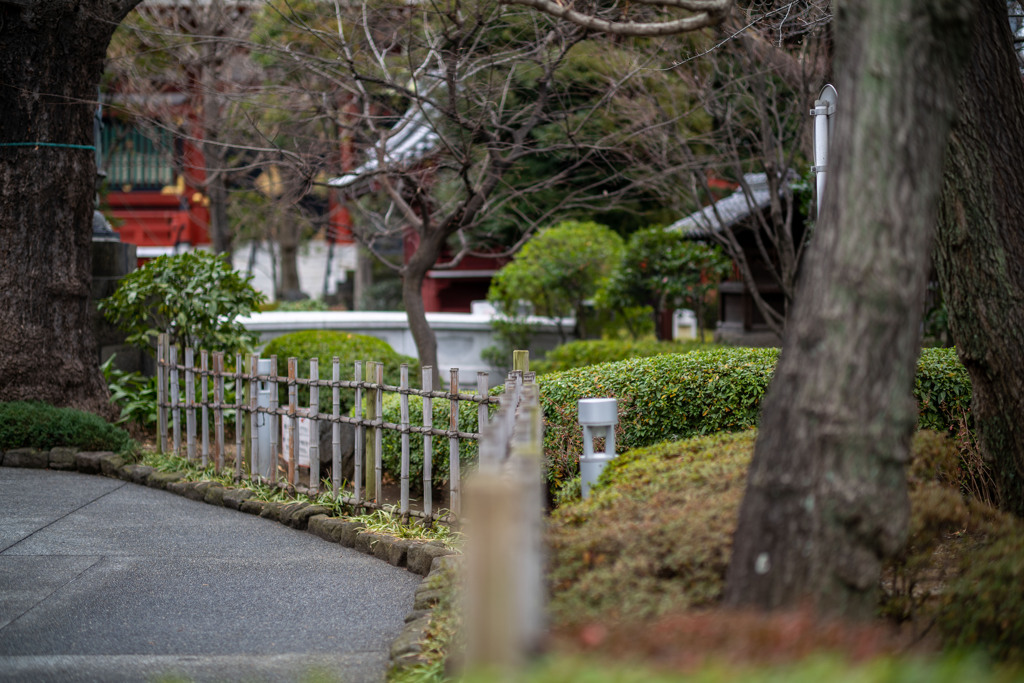 お散歩