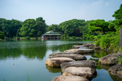 お散歩