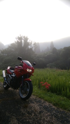霧とバイクと彼岸花