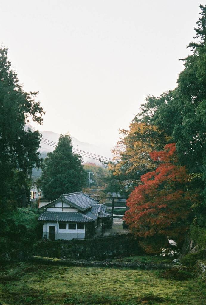 ある朝の風景