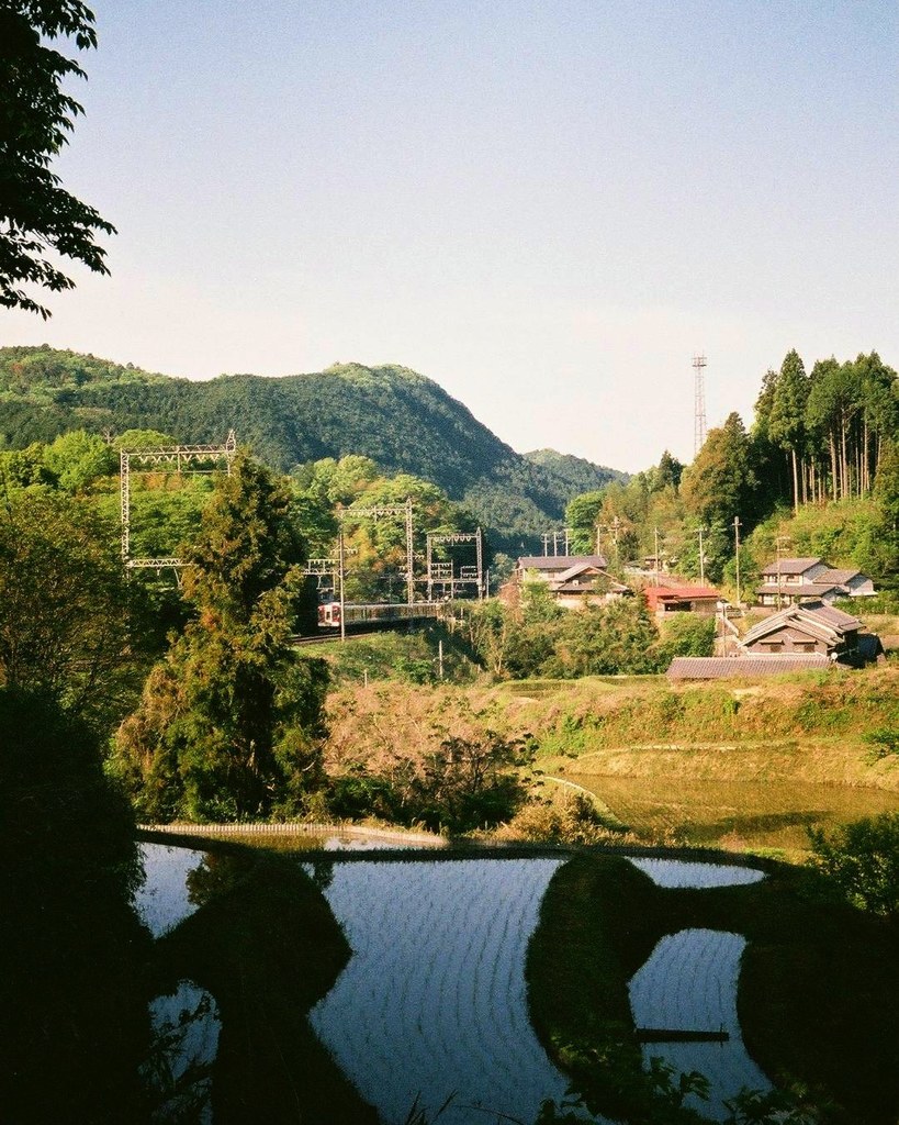 棚田水田と電車