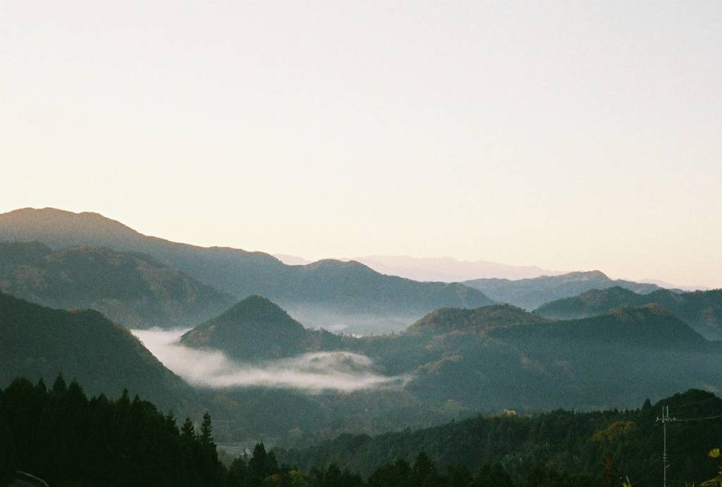 ある朝の風景
