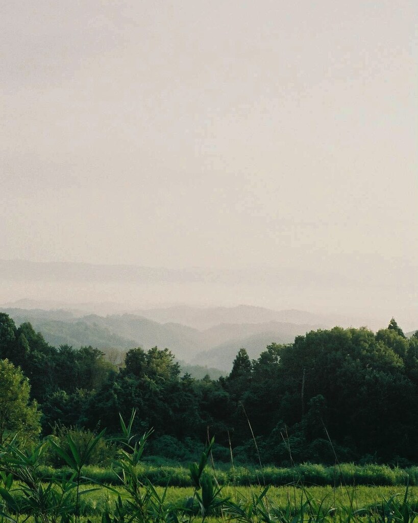 霞の朝