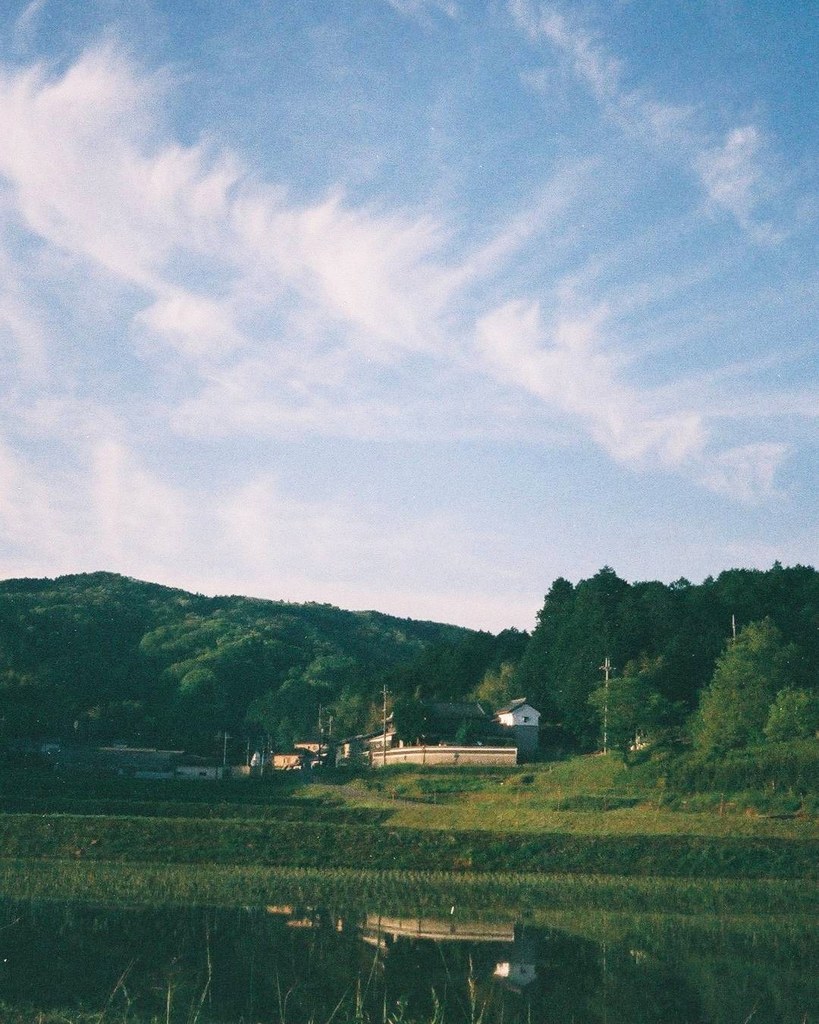 水田と朝の雲