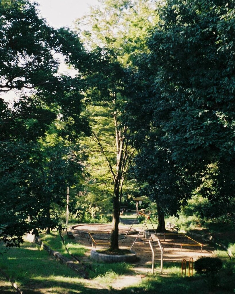 ある夏の朝の公園
