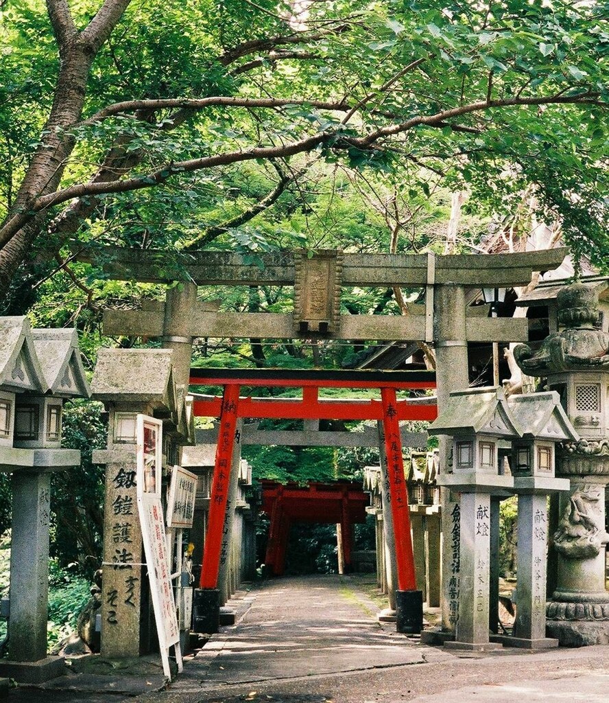 赤と緑と鳥居と