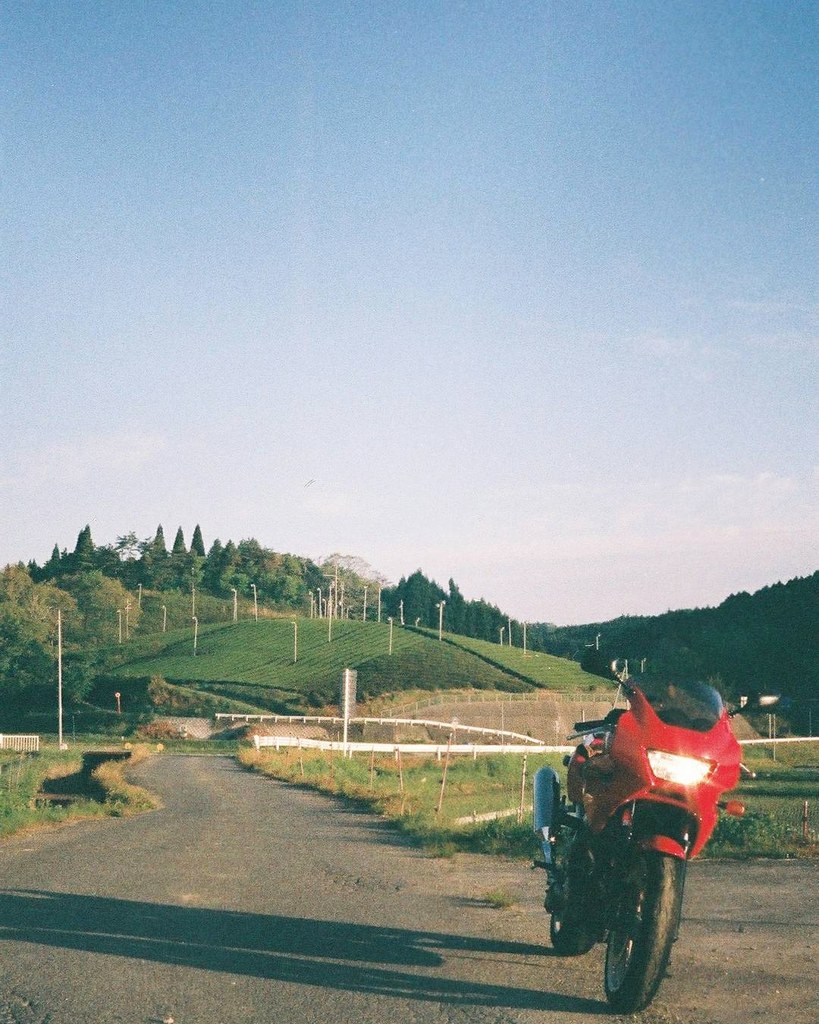 茶畑と赤いバイク