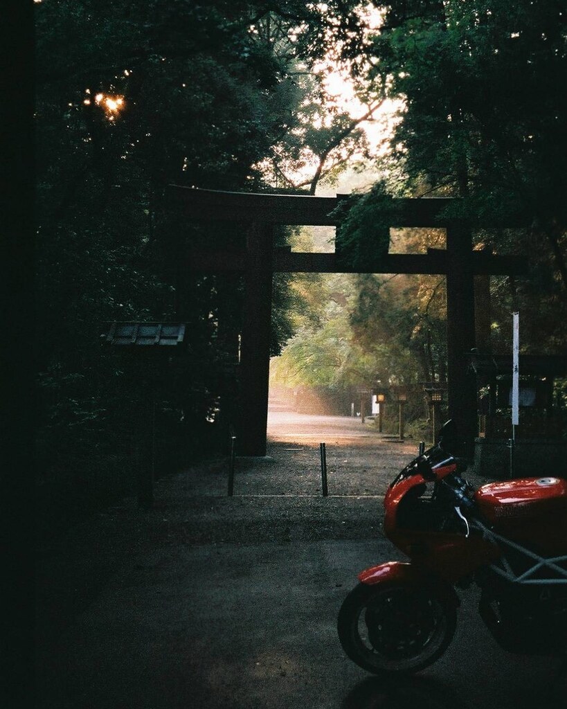 朝の参拝