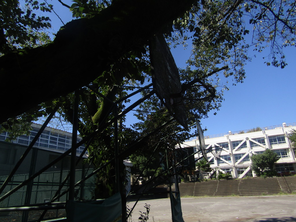 旧板橋区立向原中学校