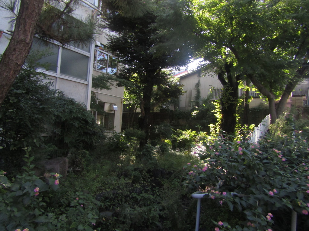 旧板橋区立向原中学校