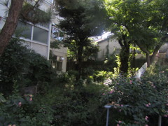 旧板橋区立向原中学校