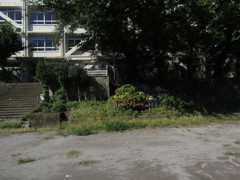 旧板橋区立向原中学校