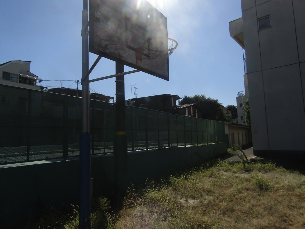 旧板橋区立向原中学校