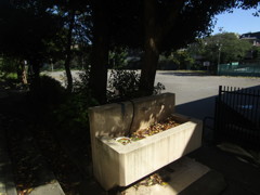 旧板橋区立向原中学校