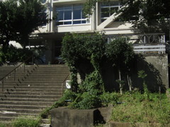 旧板橋区立向原中学校