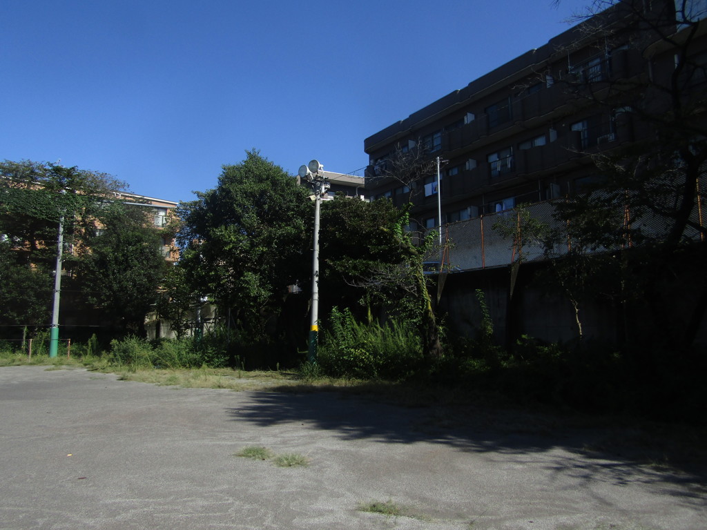 旧板橋区立向原中学校