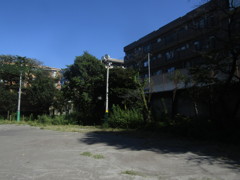 旧板橋区立向原中学校