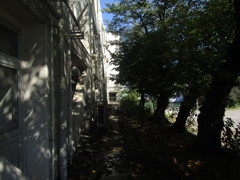 旧板橋区立向原中学校