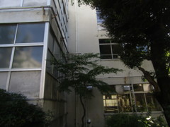 旧板橋区立向原中学校