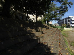 旧板橋区立向原中学校