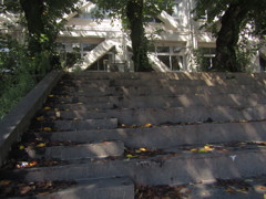 旧板橋区立向原中学校