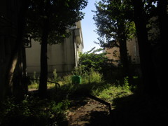 旧板橋区立向原中学校