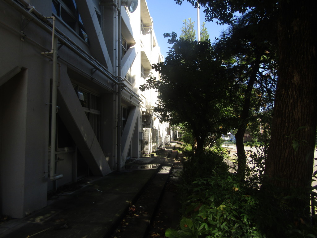 旧板橋区立向原中学校