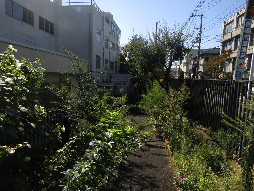 旧板橋区立向原中学校