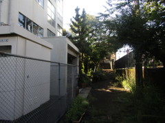 旧板橋区立向原中学校