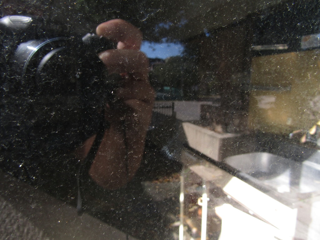 旧板橋区立向原中学校