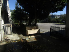 旧板橋区立向原中学校