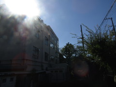 旧板橋区立向原中学校