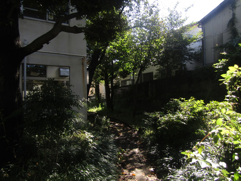 旧板橋区立向原中学校