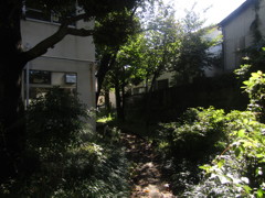 旧板橋区立向原中学校