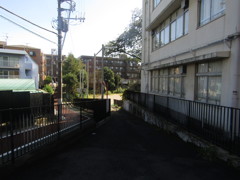 旧板橋区立向原中学校