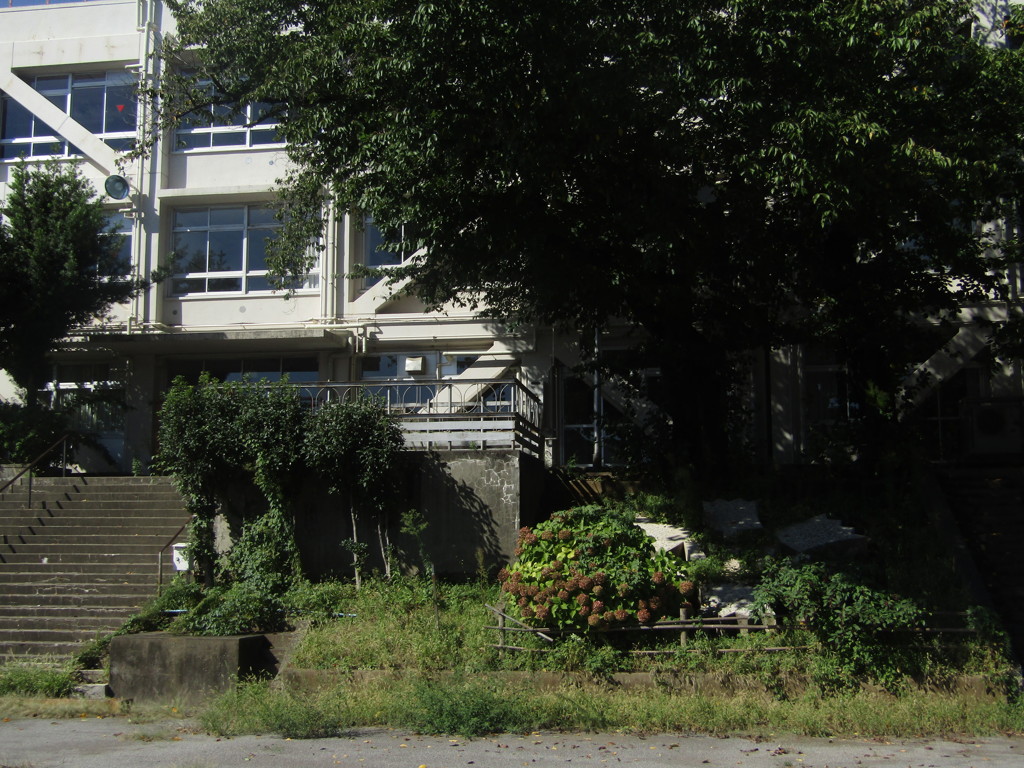 旧板橋区立向原中学校