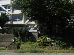 旧板橋区立向原中学校