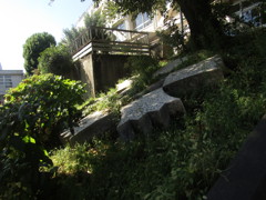 旧板橋区立向原中学校